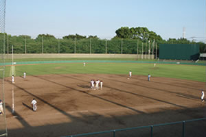 公園 森 青葉 の