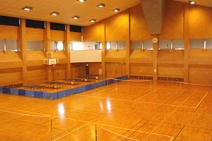 屋内スポーツ施設向けの衝撃吸収性ビニル床シートを新発売 東リのプレスリリース 共同通信prワイヤー