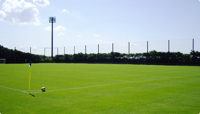 稲毛海浜公園スポーツ施設 千葉市スポーツ施設 千葉市花見川区 花島コミュニティセンター 稲毛海浜公園スポーツ施設 千葉市スポーツ施設 千葉市花見川区 花島コミュニティセンター
